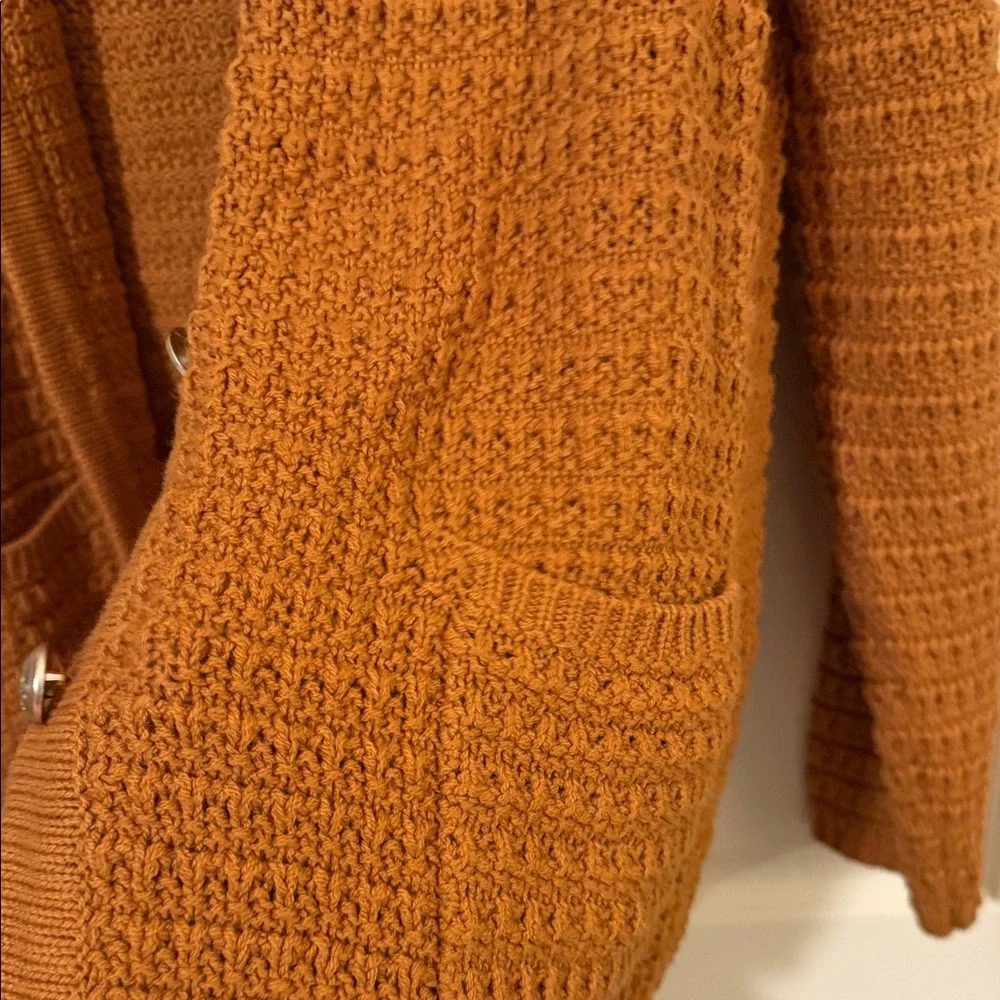 cristina B Rust Crochet-Style Button Cardigan - Picture 5 of 7